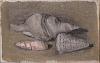 Нажмите на изображение для увеличения
Название: 8.Morandi.1940_rot.jpg
Просмотров: 431
Размер:	185.4 Кб
ID:	821841