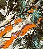 Нажмите на изображение для увеличения
Название: Pollock 3.jpg
Просмотров: 669
Размер:	208.7 Кб
ID:	8965