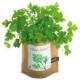 Аватар для parsley