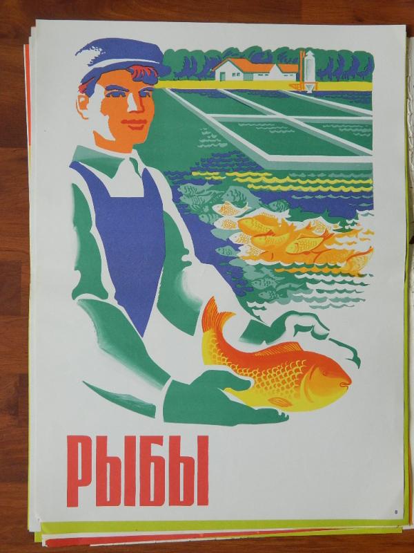 DSCN2205