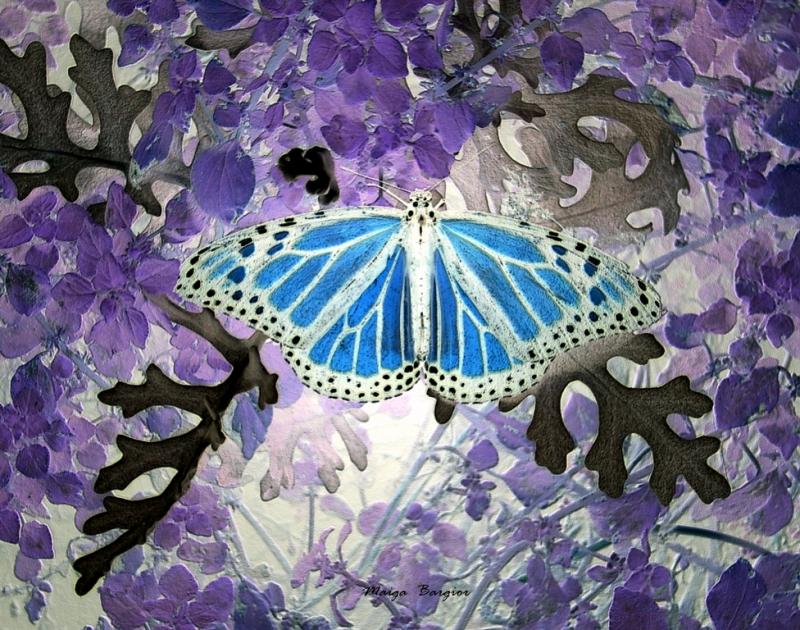 Blue Butterfly 3d