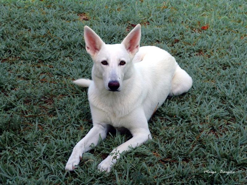 My Love Lady Kaia 4