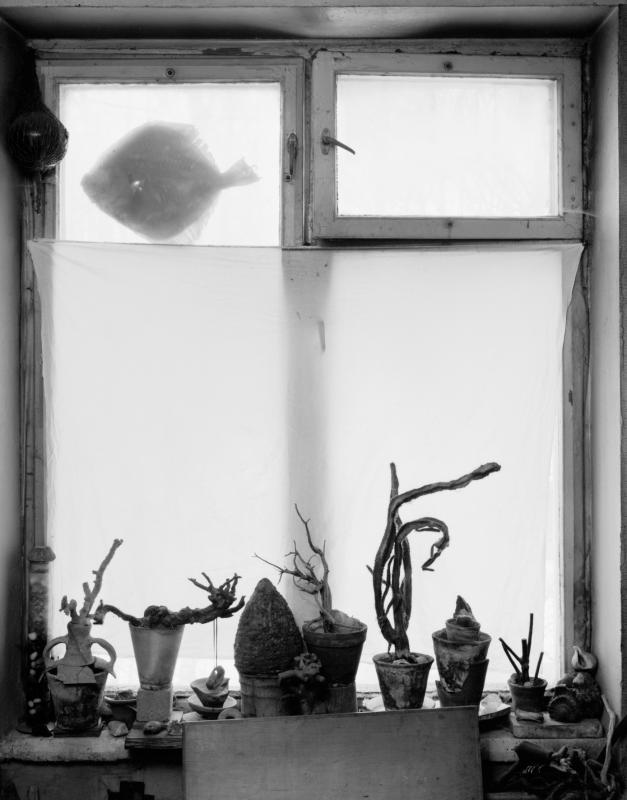 Room-studio D. Krasnopevtsev window as a sign of ...